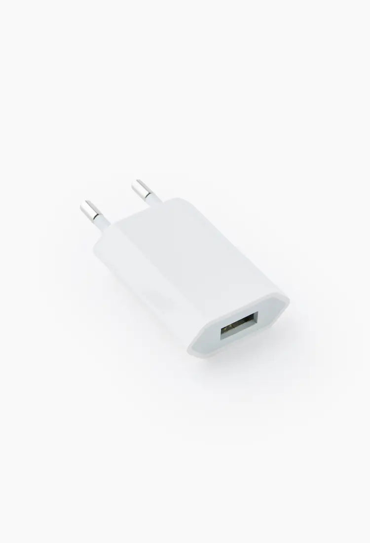 Adaptateur secteur Apple USB 5W MD813ZM/A vrac