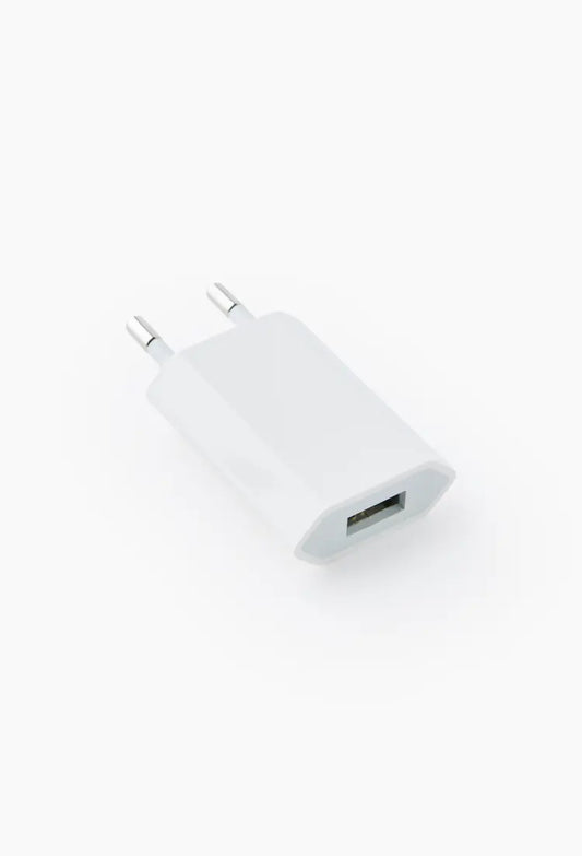 Adaptateur secteur Apple USB 5W MD813ZM/A vrac