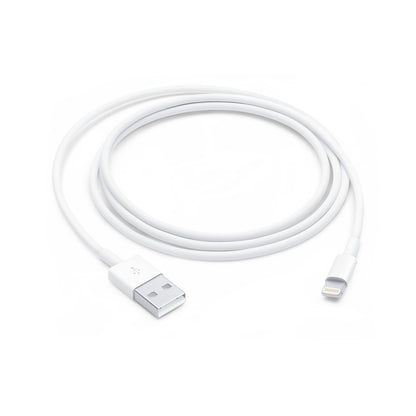 Câble Lightning vers USB (2m)