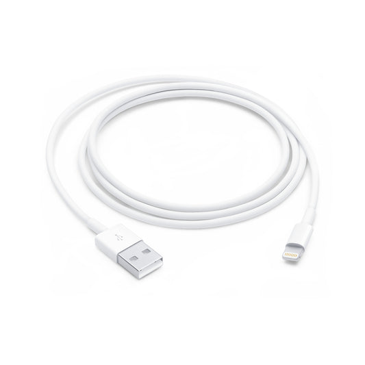 Câble Lightning vers USB (2m)