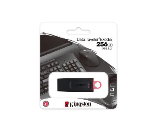 CLE USB KINGSTON 256GB